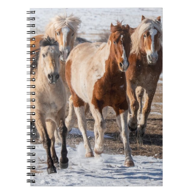 Herd of Mixed Breed Horses Running in the Snow Notebook (Front)