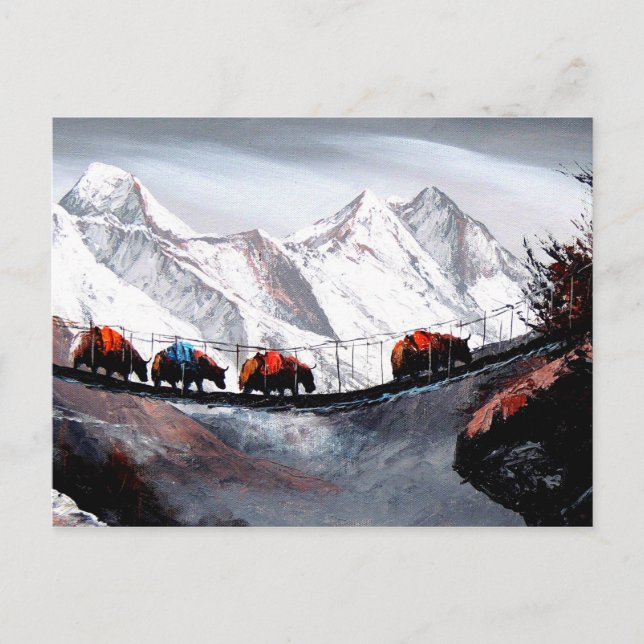 Herd Of Mountain Yaks Himalaya Postcard (Front)