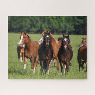 Herd of Welsh Ponies Standing In Field Jigsaw Puzzle