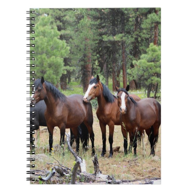 Herd of wild horses notebook (Front)
