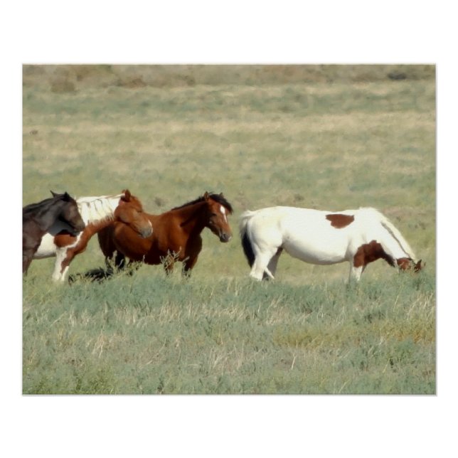 Herd of wild horses poster (Front)
