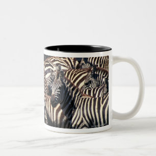 Herd of zebras Two-Tone coffee mug