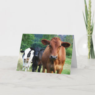 Herd You Weren't Feeling Well Card