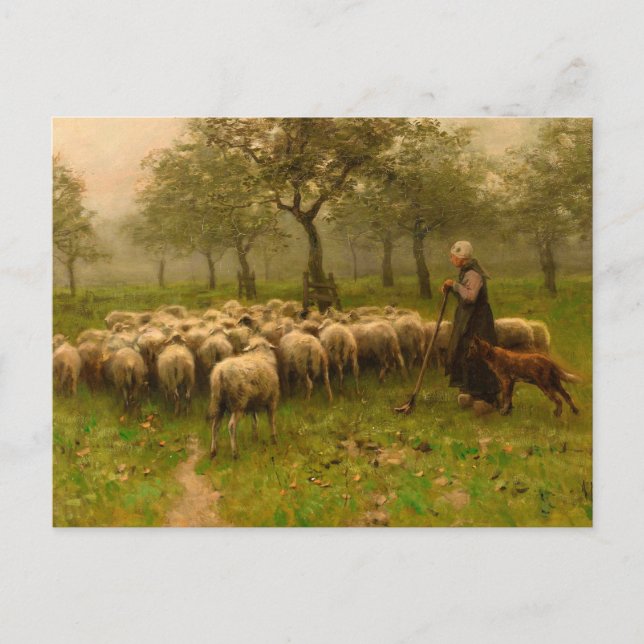 Herderin Met Kudde Schapen by Anton Mauve (c 1870) Postcard (Front)
