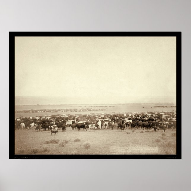 Herding Cattle at Moss Agate SD 1887 Poster (Front)