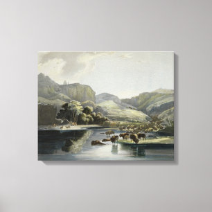 Herds of Bison and Elk on the Upper Missouri, plat Canvas Print