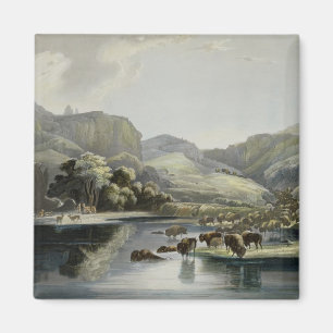 Herds of Bison and Elk on the Upper Missouri, plat Magnet