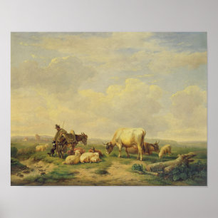 Herdsman and Herd, c.1880 Poster