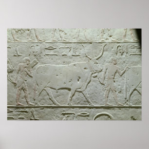 Herdsman leading a bull poster