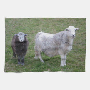Herdwick Ewe and Lamb Tea Towel