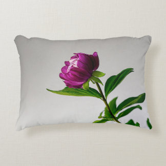 Here are some creative title ideas for a pillow co