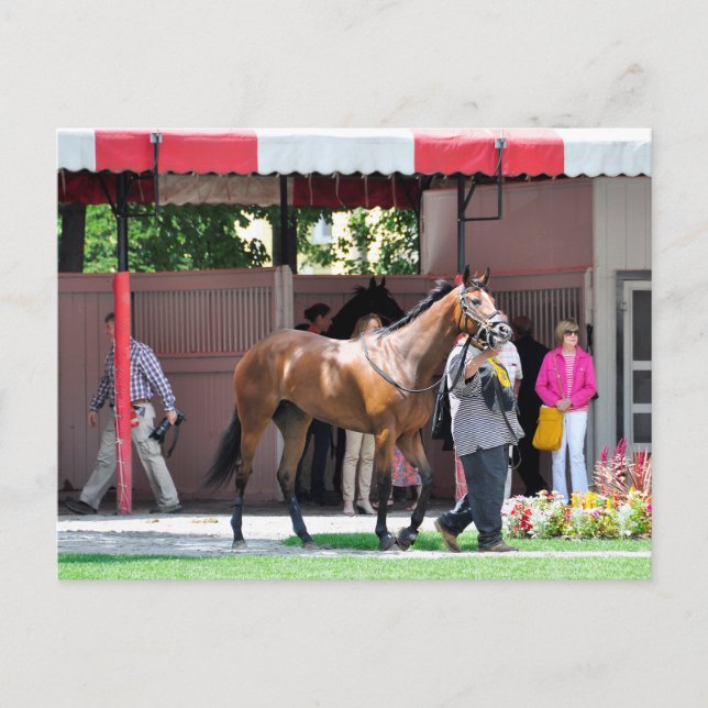 Here Comes Rosie Postcard (Front)