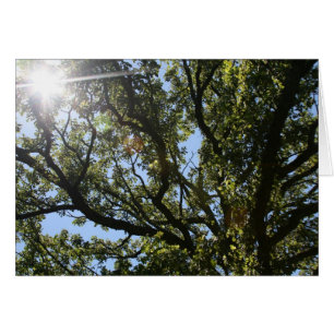 "here comes the sun" by Larry Coressel