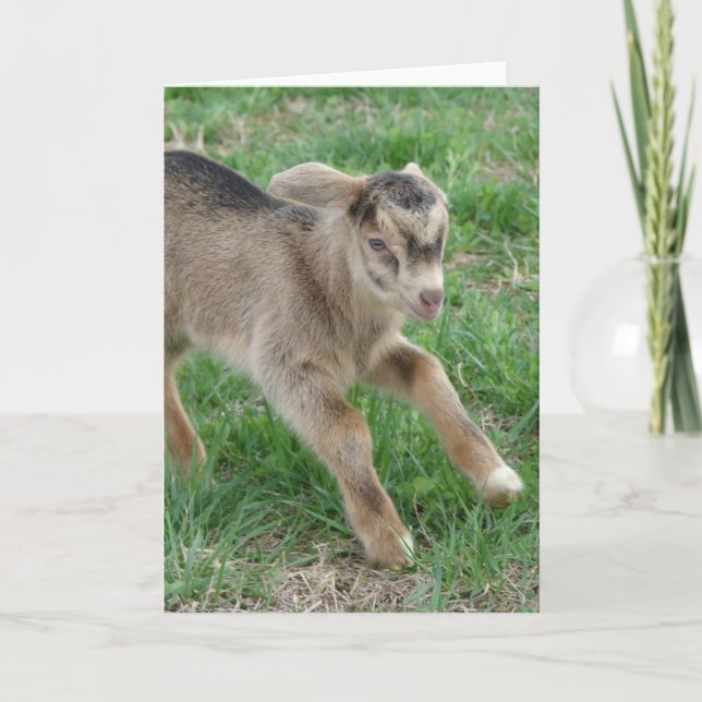 Here Comes Thunder Card (Front)