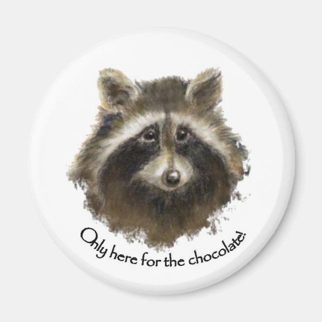 Here for the Chocolate, Cute Raccoon, Animal Magnet (Front)