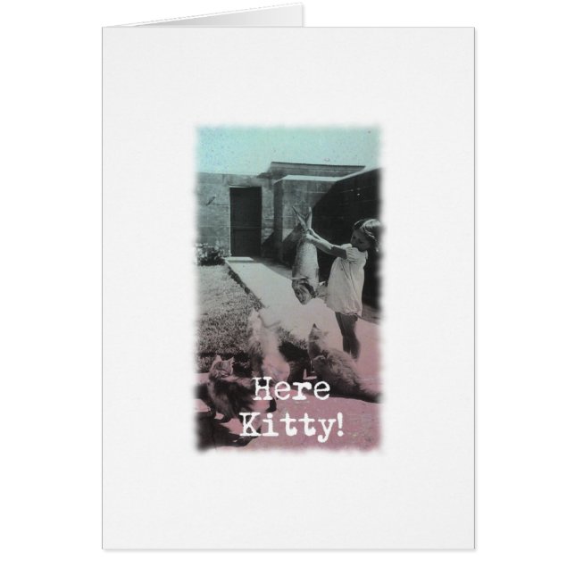 Here Kitty! (Front)