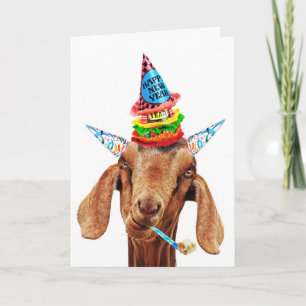 Here We Goat Again card