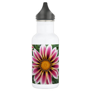 Hereford 532 Ml Water Bottle