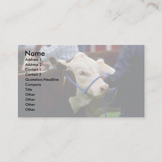 Hereford Cattle Business Card (Front)