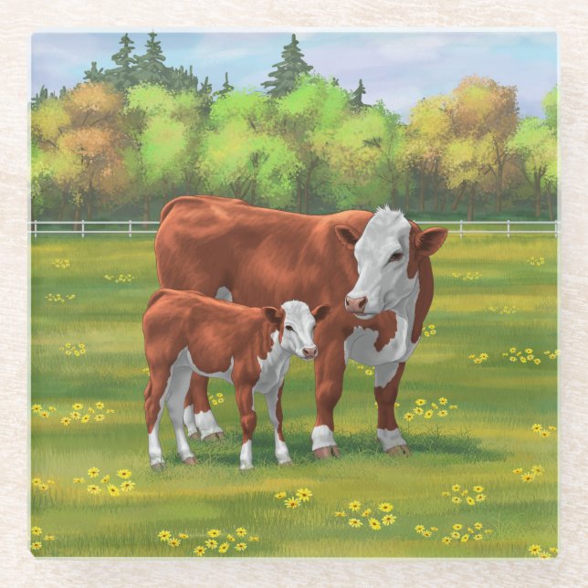 Hereford Cow & Cute Calf in Summer Pasture Glass Coaster (Front)