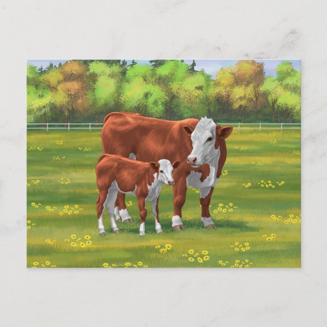 Hereford Cow & Cute Calf in Summer Pasture Postcard (Front)