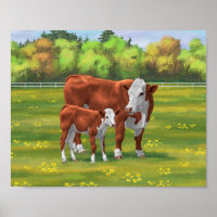 Hereford Cow & Cute Calf in Summer Pasture