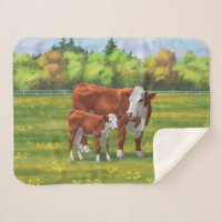Hereford Cow & Cute Calf in Summer Pasture