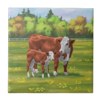 Hereford Cow & Cute Calf in Summer Pasture