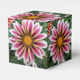 Hereford Favor Box