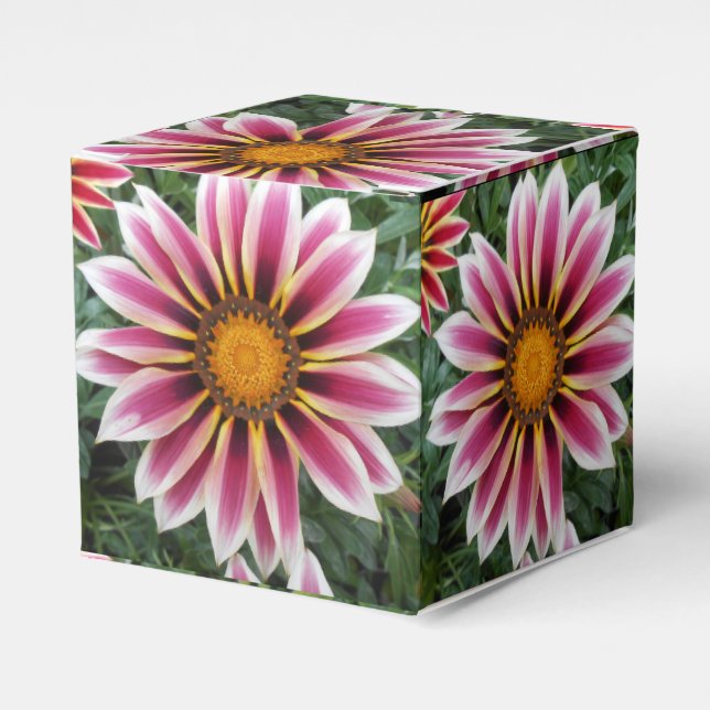 Hereford Favor Box (Front Side)