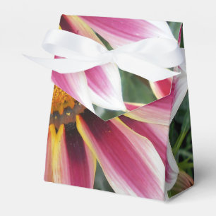 Hereford Favor Box
