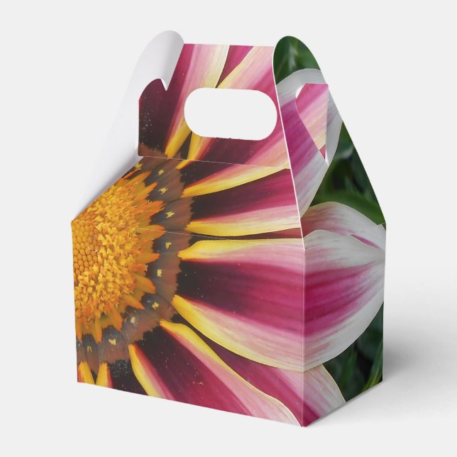 Hereford Favor Box (Front Side)