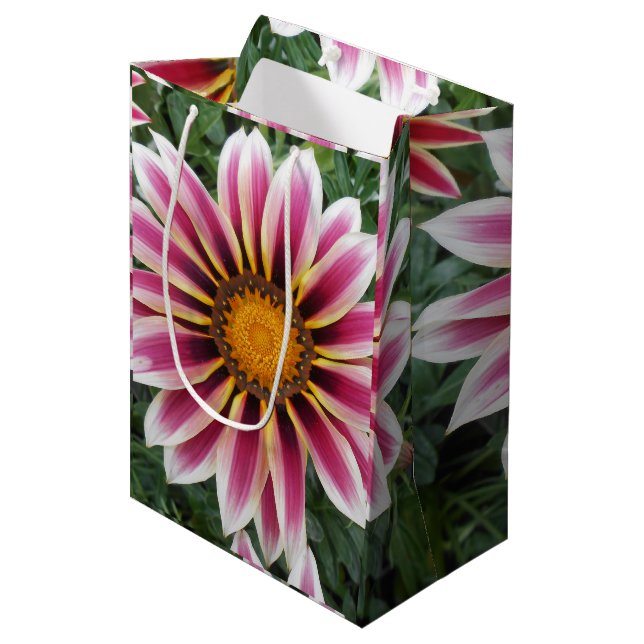 Hereford Medium Gift Bag (Front Angled)
