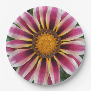 Hereford Paper Plate