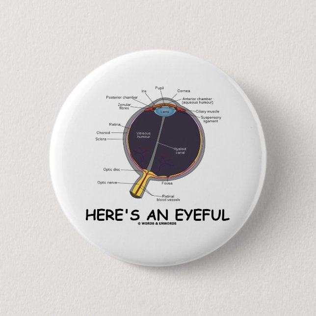 Here's An Eyeful (Eye Anatomy Humour) 2 Inch Round Button (Front)