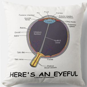 Here's An Eyeful (Eye Anatomy Humour) Throw Pillow