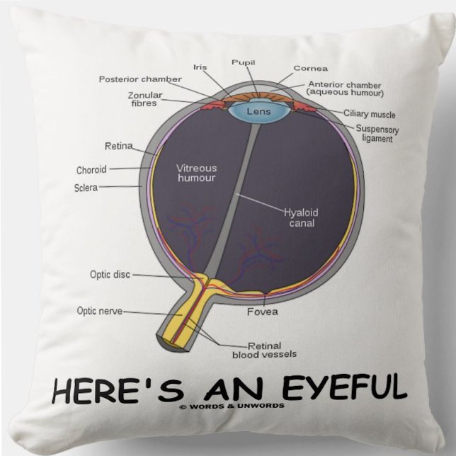 Here's An Eyeful (Eye Anatomy Humour) Throw Pillow (Throw pillow featuring human eye anatomy along with the caption "Here's An Eyeful")