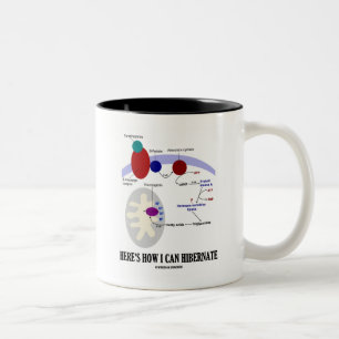 Here's How I Can Hibernate (Thermogenesis) Two-Tone Coffee Mug