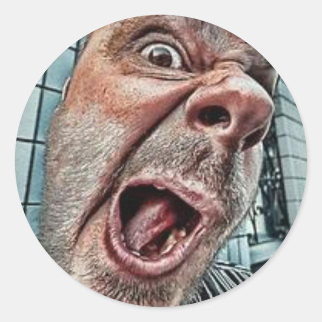 "Here's Lookin At You" Goofy Face Classic Round Sticker (Front)