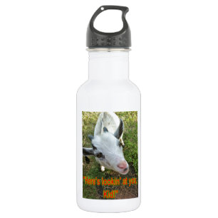 Here's lookin' at you, Kid! 532 Ml Water Bottle