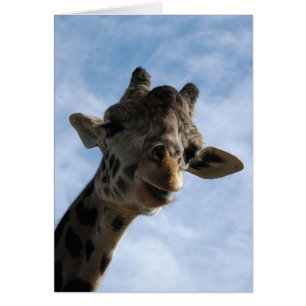 Here's looking at you!