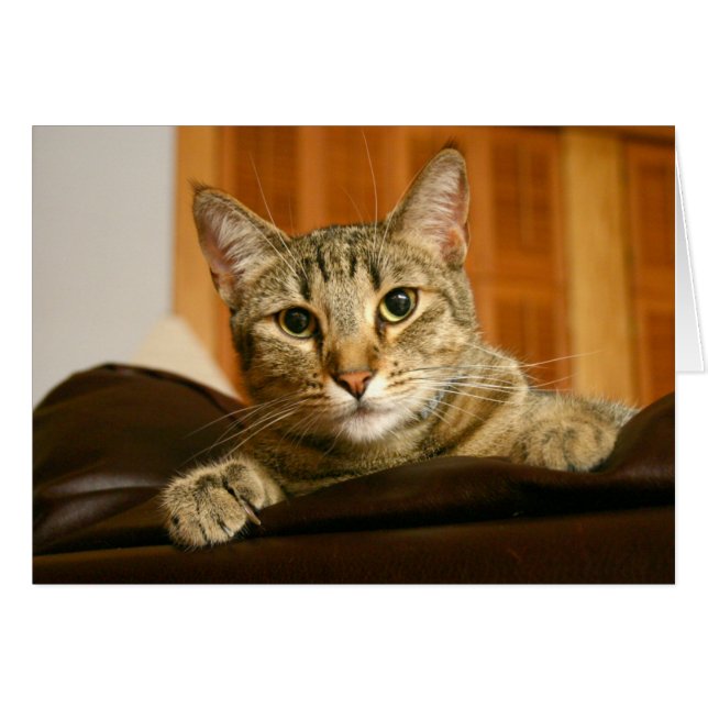 Here's Looking at You! (Front Horizontal)