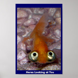 Heres Looking at You Poster