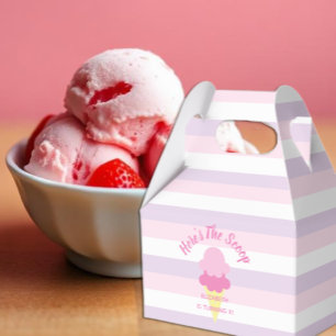Here's The Scoop Ice Cream Summer Birthday Favor Box