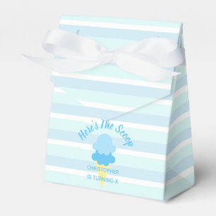 Here's The Scoop Ice Cream Summer Boy Birthday Favor Box
