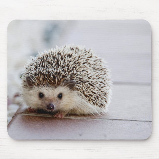 Hérisson Mignon, Tapis de Souris (Devant)