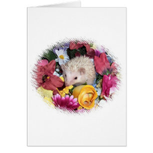 Hérisson parmi les fleurs
