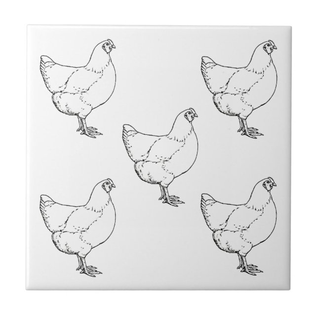 Heritage Breed Chickens Flock - 5 Hens Tile (Front)