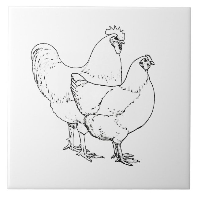 Heritage Breed Chickens - Rooster and Hen Tile (Front)