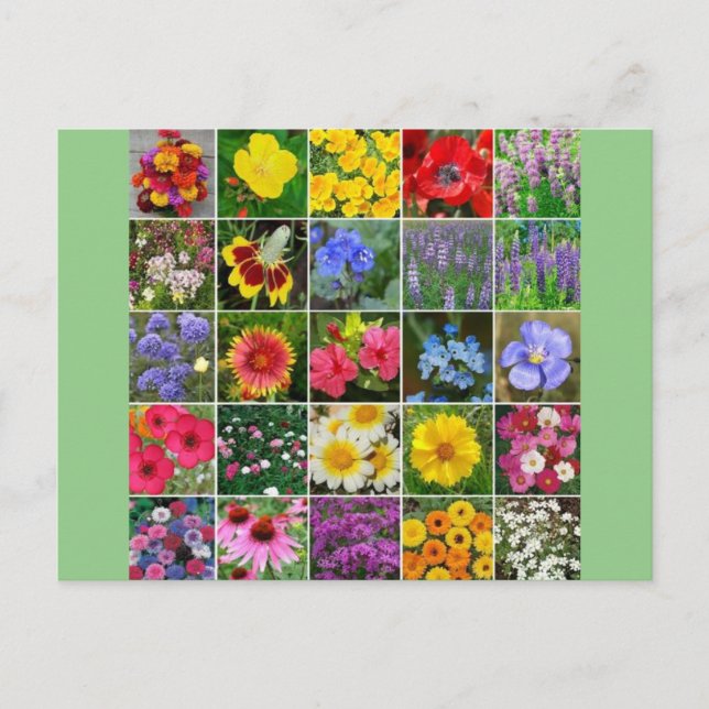 Heritage Flowers - USA Postcard (Front)